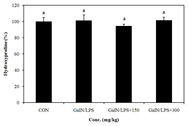 Effect of PYGP on the MAPK pathway protein expression in rat liver.