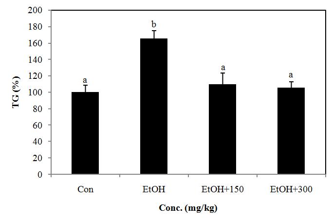 Effect of PYGP on the TG levels in rat liver.
