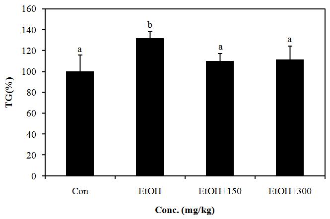 Effect of PYGP on the TG levels in rat serum.