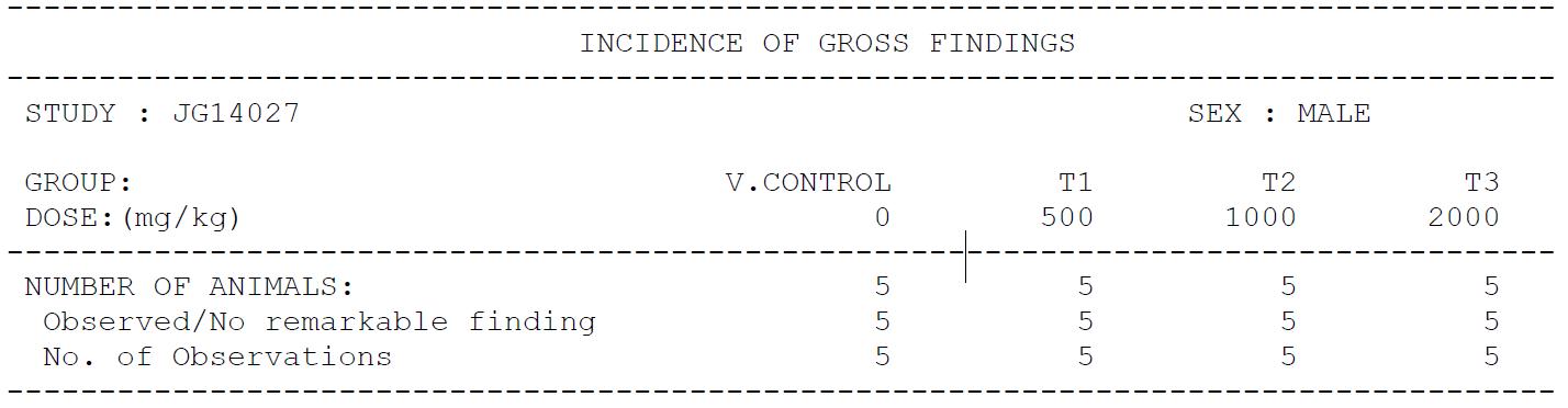 Macroscopic Findings (Group Summary, Male)