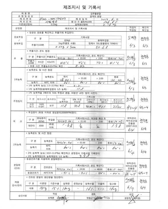 Pilot scale manufacturing process records