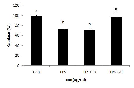 Effect of PYGP on the activity of CAT.