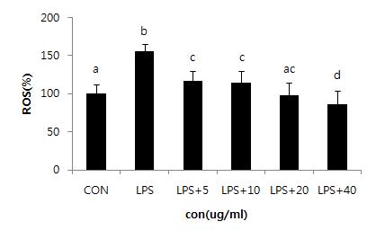 Effect of PYGP on ROS production in RAW 264.7 cells.