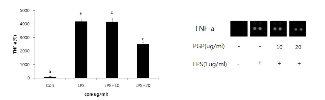 Effect of PYGP on TNF-α production in RAW 264.7 cells.