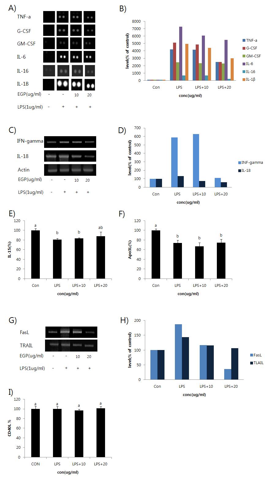 Cytokine production in RAW 264.7 cells