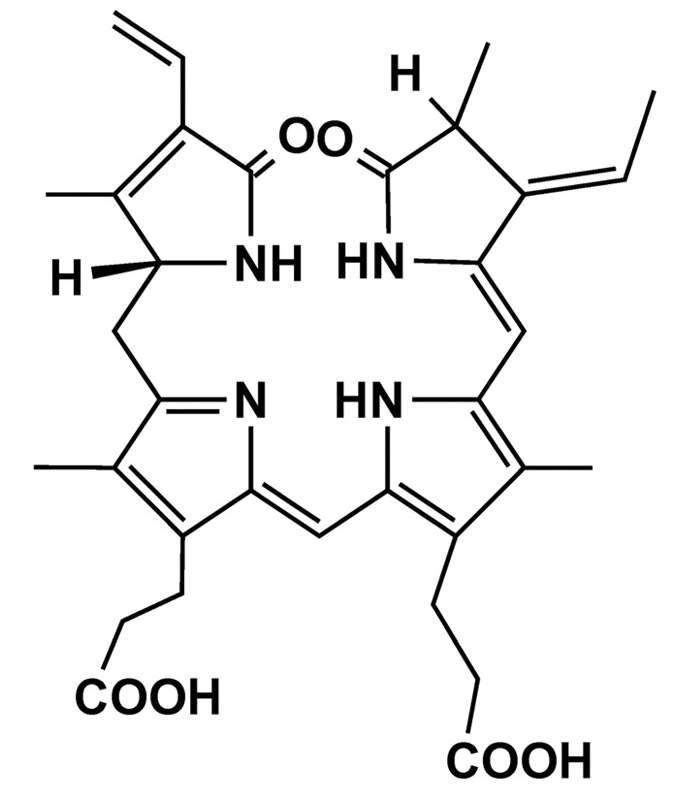 Phycoerythrin structure in laver glycoprotein extract