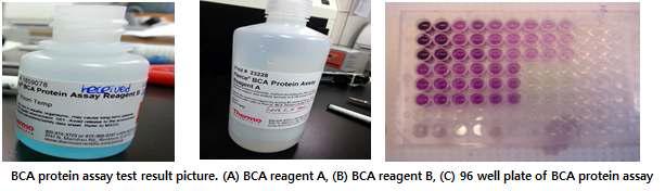 BCA protein assay reagents and test methods Photograph