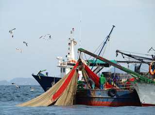 수온관측을 통한 어업활동 강화