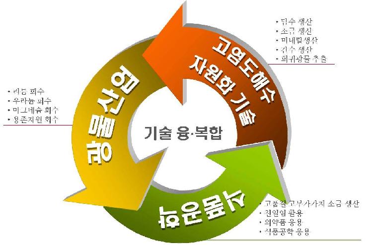 국내 동종 및 이종 산업간 연계․협력 방안