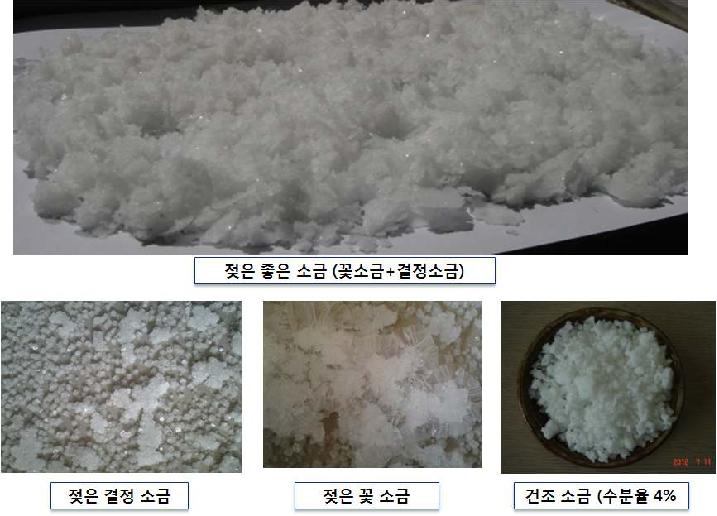 저온진공 건조판에 형성되는 꽃소금과 결정소금