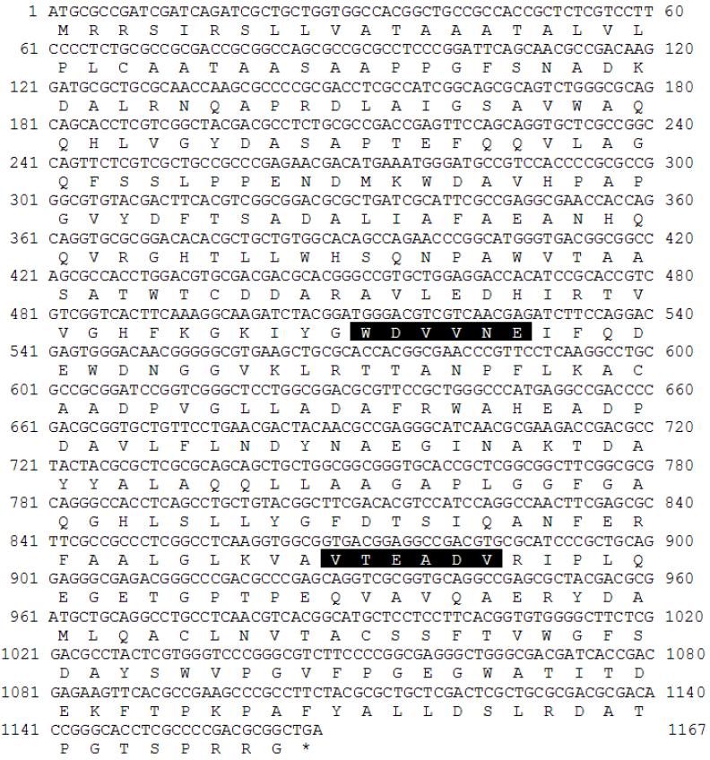 Nucleotide sequence of the gene encoding XylH.