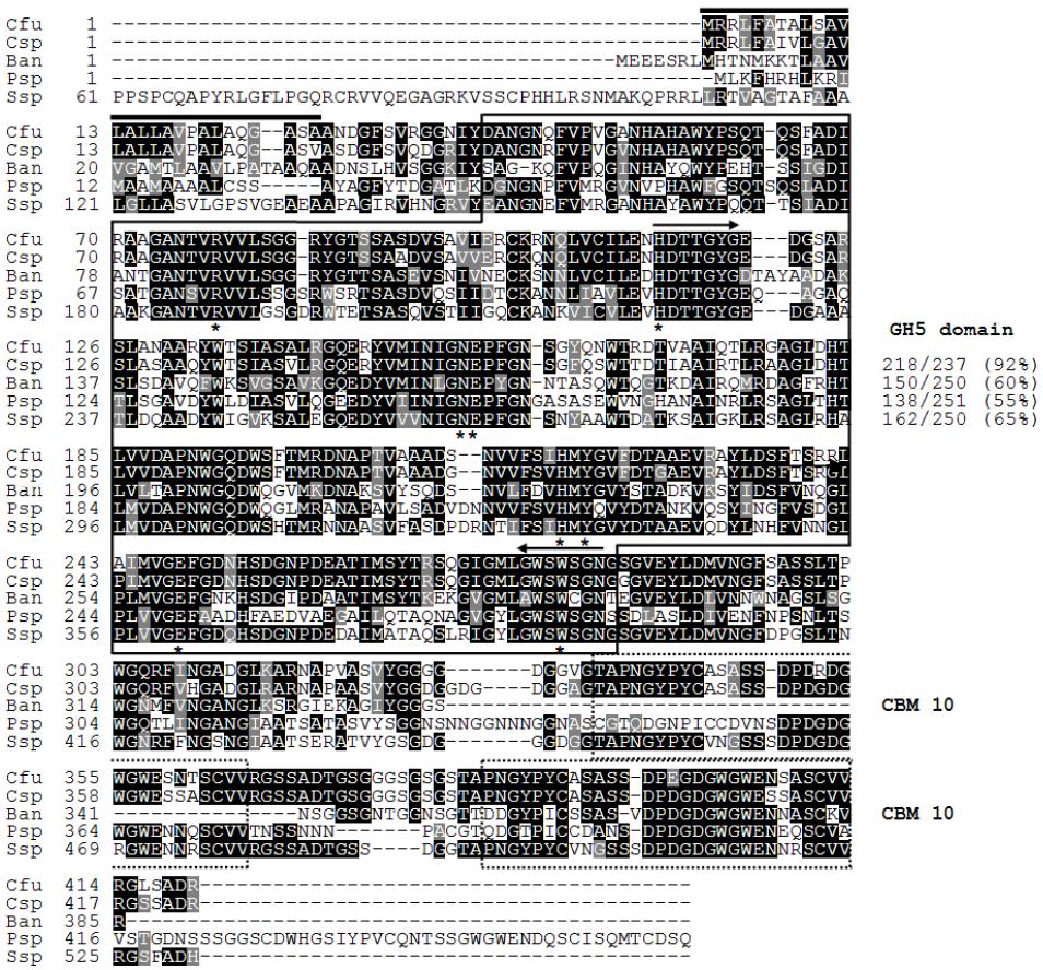 Alignment of the deduced amino acid sequence of ManY with those of other GH5 families.