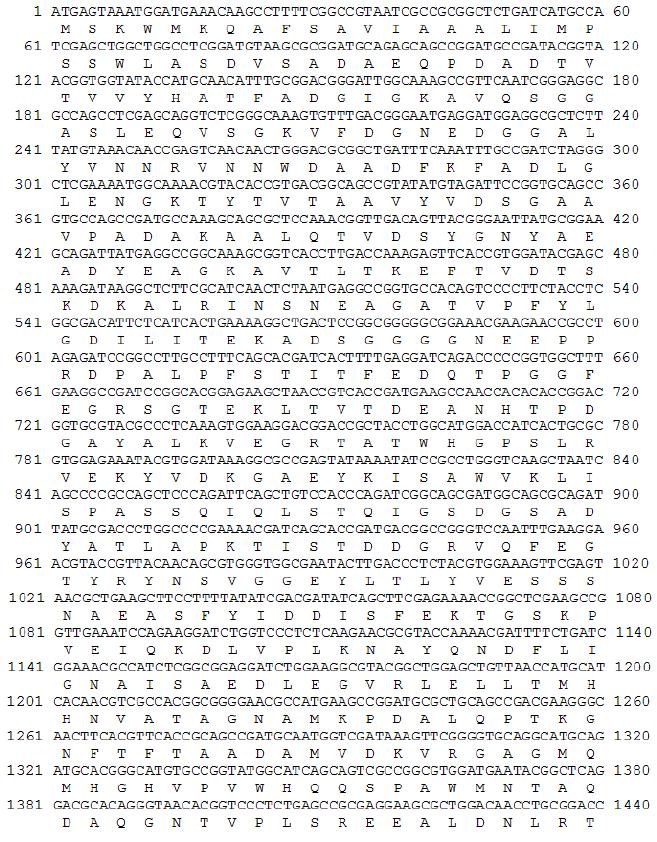 Nucleotide sequence of the gene encoding XylN.