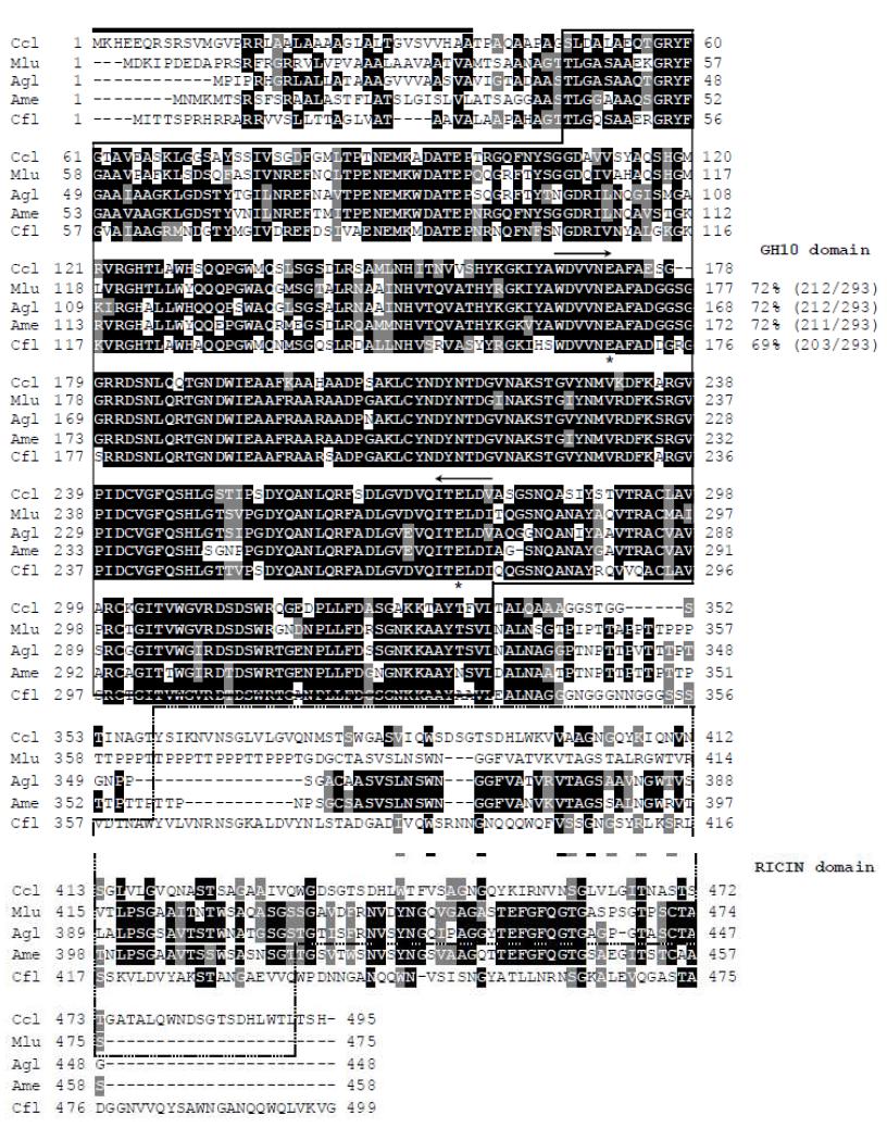 Alignment of the deduced amino acid sequence of XylM from C. cellulans HY-24 with those of other GH10 xylanases.