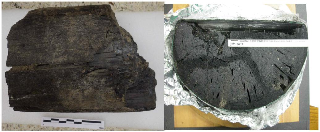 HW-17-6A 탄화목 시료와 단면
