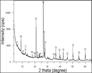 X-ray diffraction (XRD) pattern of the soil sample.