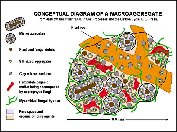 Soil aggregate.