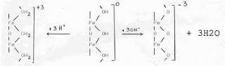 Surface charge of iron oxide due to adsorption of H+ or OH-.