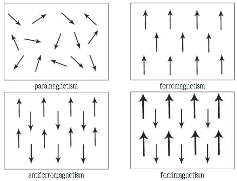 Schematic diagram of the alignment of magnetic moments.