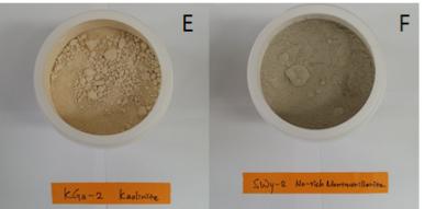 모델점토시료 (E)캐올리나이트, (F)몬모릴로나이트.