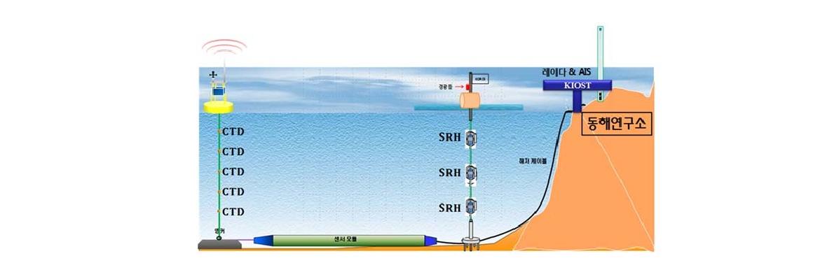 Real-time ocean observing system