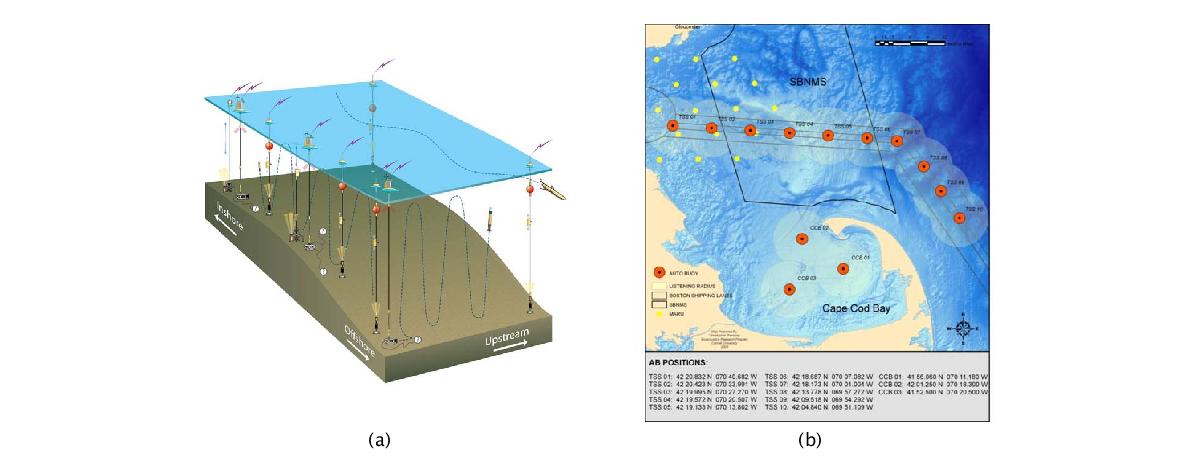 WHOI의 해양 관측망 (a) WHOI의 Pioneer Array 개념도, (b) WHOI의 참고래 관측망