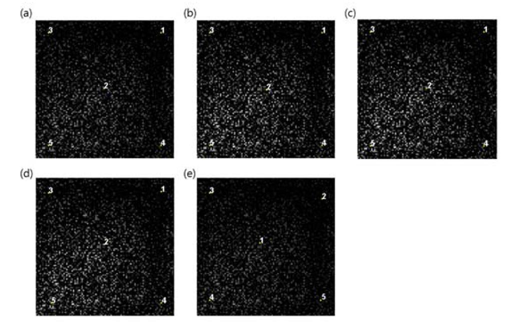 The pixel locations of endmembers extracted by the proposed IEA algorithm for the simulated image (a)without noise, (b)with 90 dB, (c)60 dB, (d) 30, dB(e) 15 dB SNR noise added.