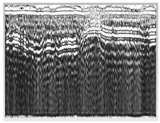 The output seismic data after low pass filtering.