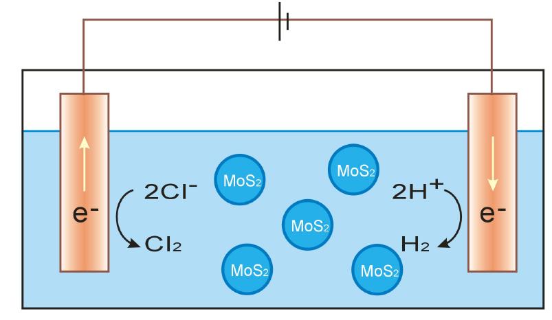Schematic diagram of electro-oxidatio leaching of MoS2.