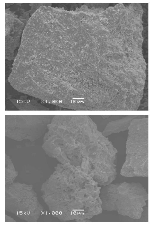 SEM photos of Sr concentrate according to leaching times:(upper) 0 min, (down) 180 min