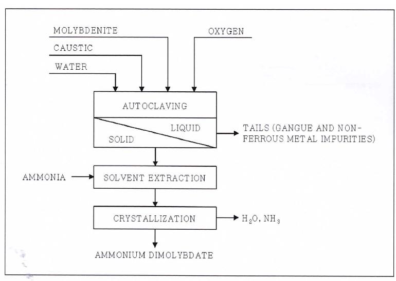 Schematic of an aqueous autoclave oxidation process with caustic for molybdenum recovery.