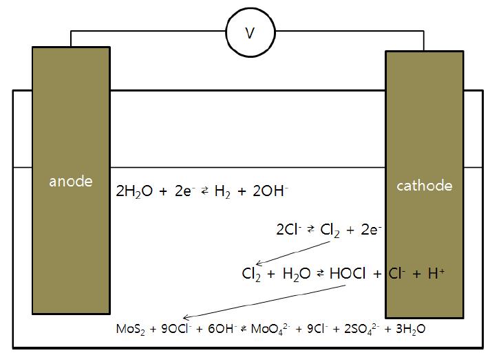 Schematic diagram of electro-oxidation of MoS2
