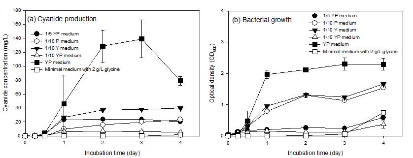 회분식 시안 생산 및 농축 장치를 이용한 희석한 YP medium과 최소 배지에서의 (a) 시안 생산과 (b) 미생물 생장 정도.