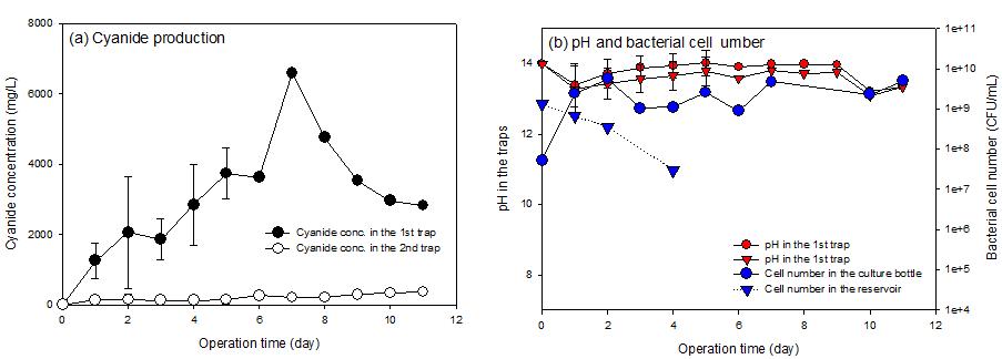 시안농축장치 내 NaOH 농도가 10 M인 경우 연속식 시안 생산 및 농축 장 치를 이용한 (a) 시안 생산과 (b) 시안농축장치 내 pH 및 미생물 수.