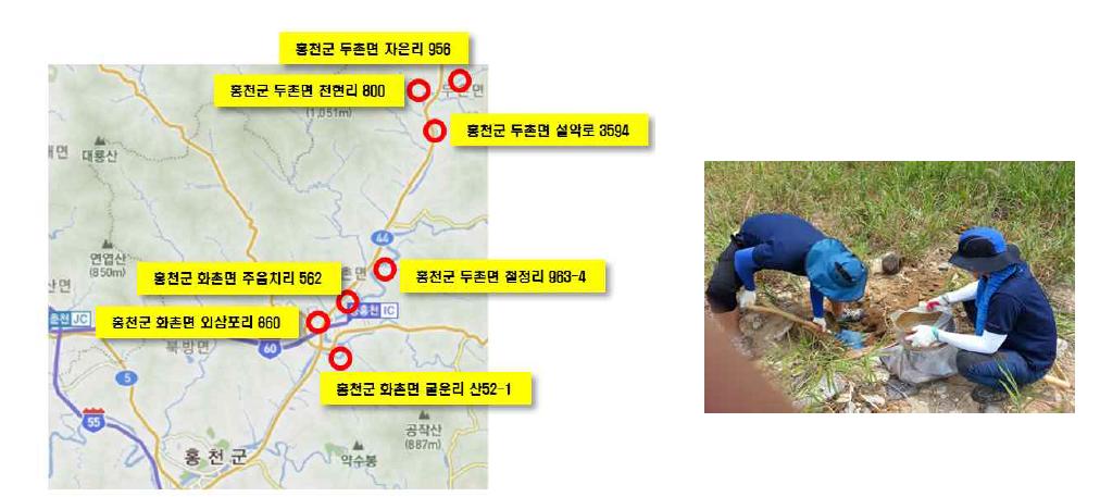 Map of sampling points at Hongcheon River.