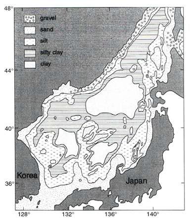 Grain size distribution of surface sediments in the East Sea. Modified after Chough et al. (2000).
