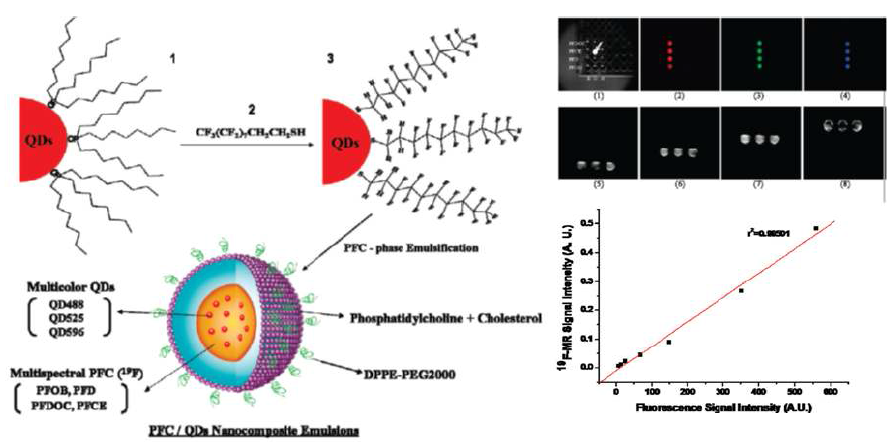 Multiplexed Imaging of Therapeutic Cells with Multispectrally Encoded Magneto-fluorescent Nanocomposite Emulsions