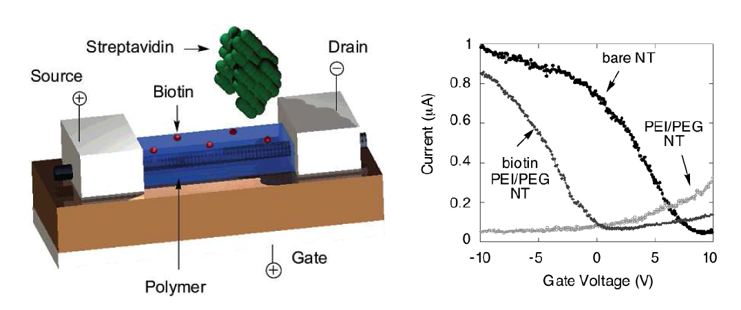 탄소나노튜브를 이용한 FET 바이오센서 개략도(왼쪽)와 이를 이용한 센싱 데이터 비 교 그래프 (오른쪽)