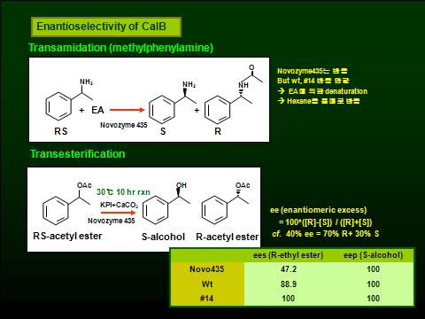 CALB 변이 리파제 CALB14를 이용한 transamidation 및 transesterification 반응