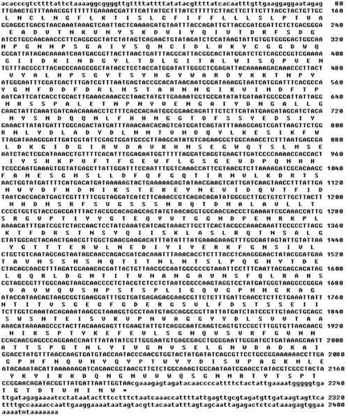 γ-cyclodextrin의 specificity가 있는 CGTase 효소유전자 서열