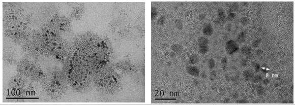 The estimated size of MPA capped CdS quantum dots was 8 nm based on the TEM characterization.
