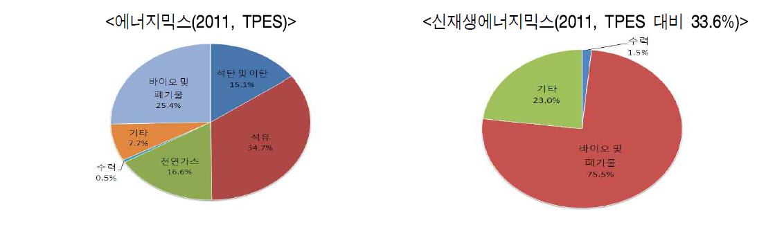 인도네시아 신재생에너지 믹스