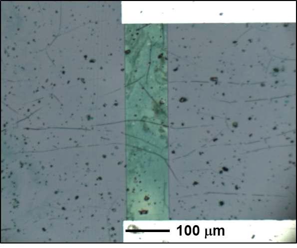 Optical microscope image of GO on SiO2/Si