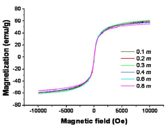 Magnetization curves of magnetite particles synthesized with different molalities of total iron chloride