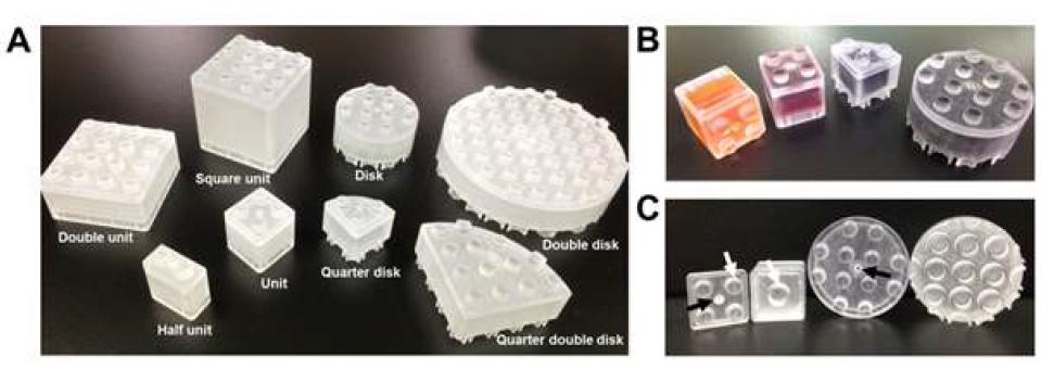 Standardized MOMA phantom unit blocks (UBs). (A) The UB set includes eight unit shapes. A phantom of any size can be constructed through division or multiplication by the precise UB size. (B) Various dye solutions can be distinguished from each other using different colors, which can be clearly seen from the outside. The dye solutions can be injected into individual UBs through the nut hole (black arrow in C), because of the block design consisting of a hollow inside an enclosed construction. (C) The UBs can be connected by LEGO-type stud-and-tube mechanical unit block coupling (white arrows) and include nut holes (black arrow) through which solutions can be injected or removed.