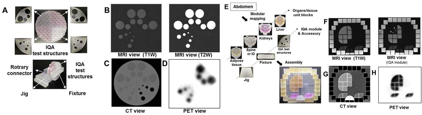 Different contrast mechanisms under individual imaging modalities can be clearly seen using UBs and IQA modules. (A) Photograph of contrast detectability IQA modules for multi-modal imaging and assembled IQA modules, which are securely mounted by the fixture and kept in place by the jig. Quadrants one (Q1) and three (Q3) (with faint red colors) are filled with 18F-FDG solution and added physiological saline solution, quadrant two (Q2) is filled with saline solution only, and quadrant four (Q4) is a blank space. Each imaging modality: (B) MRI, (C) CT, and (D) PET, generates image contrast based on its own physical parameters, that is, either with or without the solution and radioisotope in this IQA module. (E) Cross-sectional human anatomy mapping phantom composed of organ UBs and IQA modules. The phantom simulates the abdomen using simplified organ mapping with UBs representing the liver (brown), kidney (purple), spine (white), and fatty tissue (yellow). The filling solutions, paramagnetic agents, iodine contrast agents and 18F-FDG provide different contrast mechanisms under MRI (F), CT (G), and PET (H) scanning.