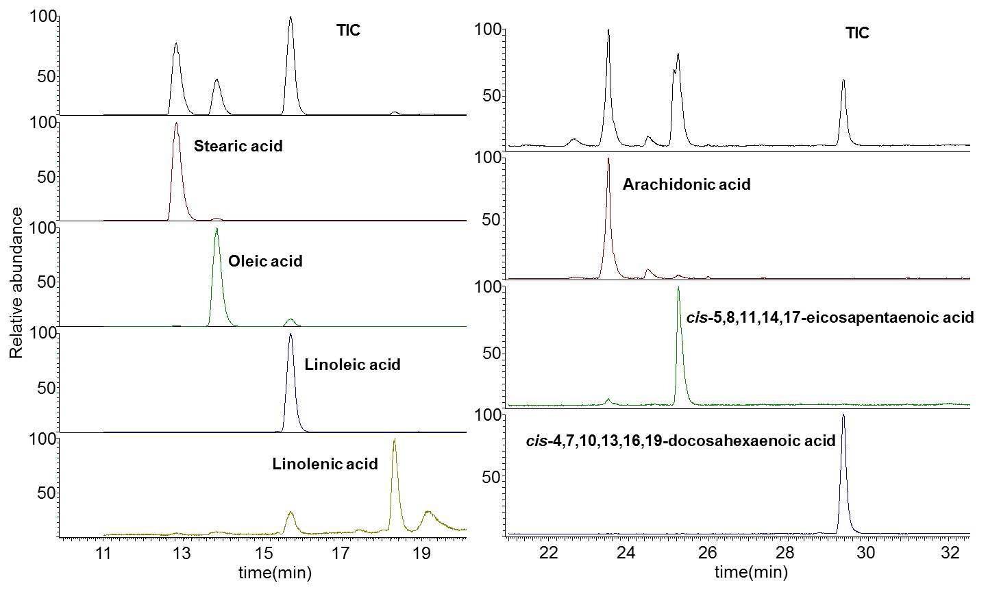 GC-MS　chromatograms　of　fatty acid methyl esters extracted from infant formula by EI-MS (left) and CI-MS (right)