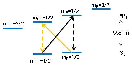 Scheme of optical pumping for Spin polarization of 171Yb atom in optical lattice