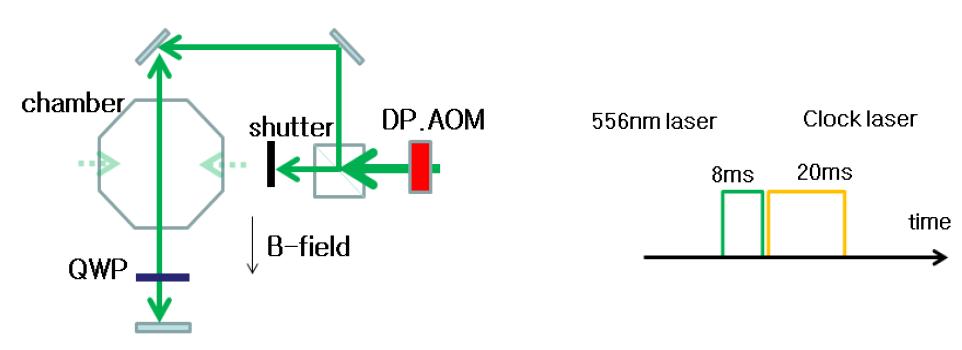 Optical pumping for Spin polarization of Yb atom in optical lattice.