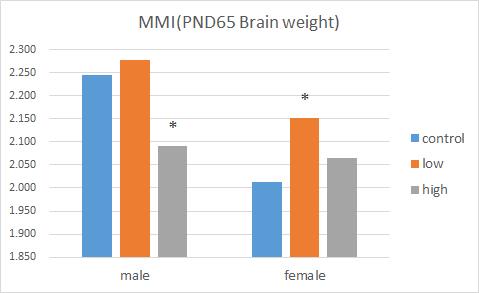 MMI 투여군 PND 65일째의 뇌중량